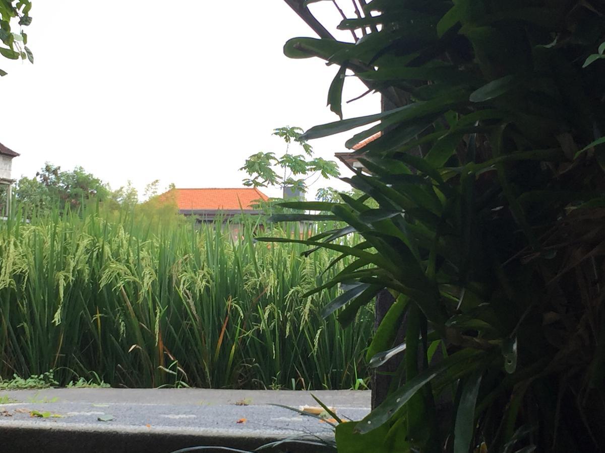 Depong House Apartment Ubud  Exterior photo